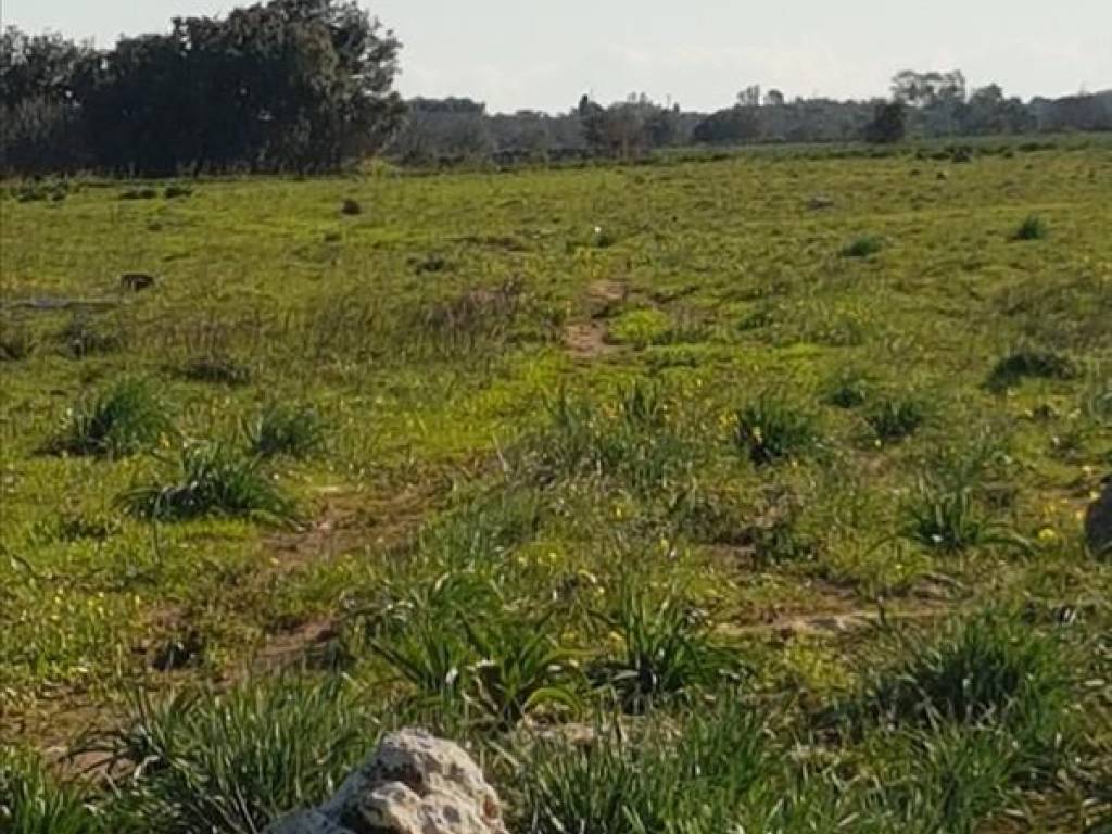 Terreno a Lecce in Via Almerinda Almorelli - Foto 3