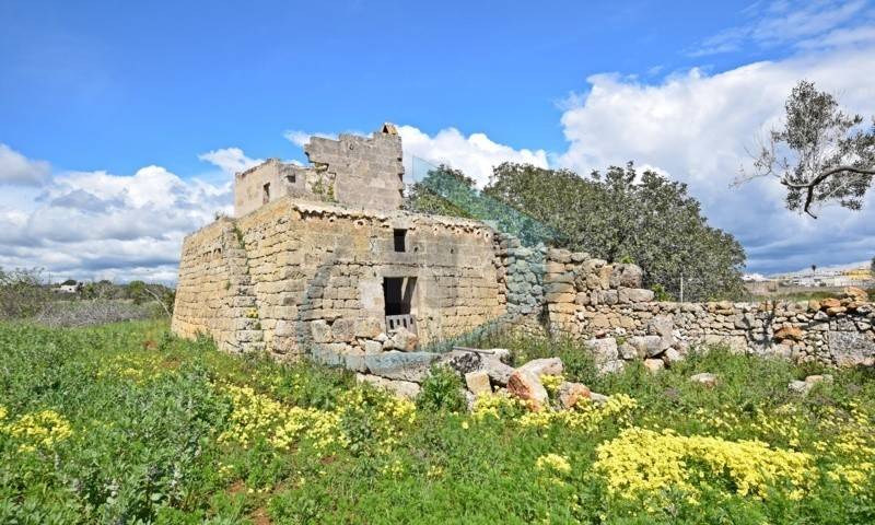Rustico / casale a Patù - Foto 2