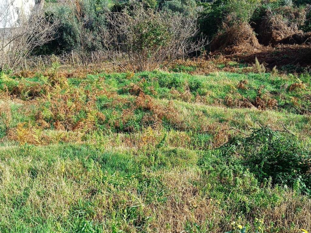 Terreno a Monte di procida in Via Pietro Colletta - Foto 2