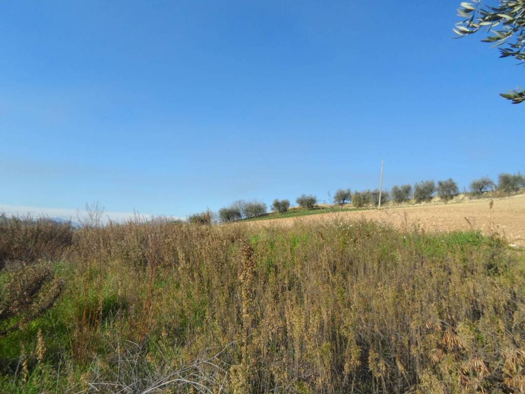 Terreno a Monteprandone in Contrada San Donato - Foto 2