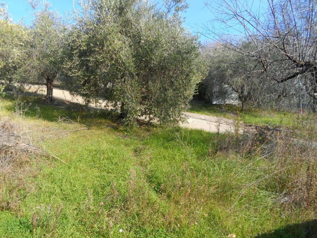 Terreno a Monteprandone in Contrada San Donato - Foto 3