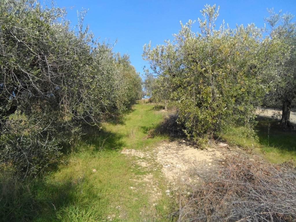 Terreno a Monteprandone in Contrada San Donato - Foto 4