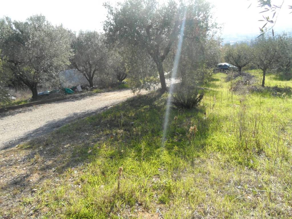 Terreno a Monteprandone in Contrada San Donato - Foto 5