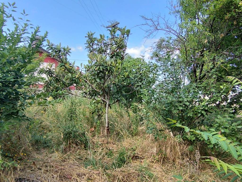 Rustico / casale a Benevento in Contrada Torre Alfieri - Foto 5