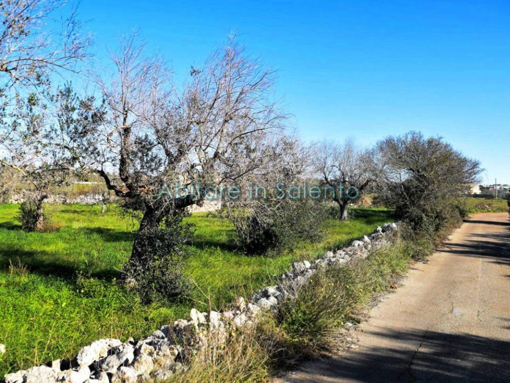 Terreno a Castrignano del capo in Via Egnazia - Foto 2