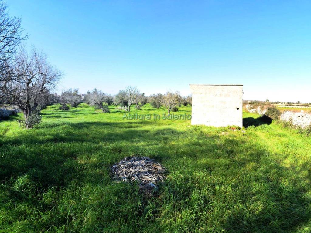 Terreno a Castrignano del capo in Via Egnazia - Foto 4