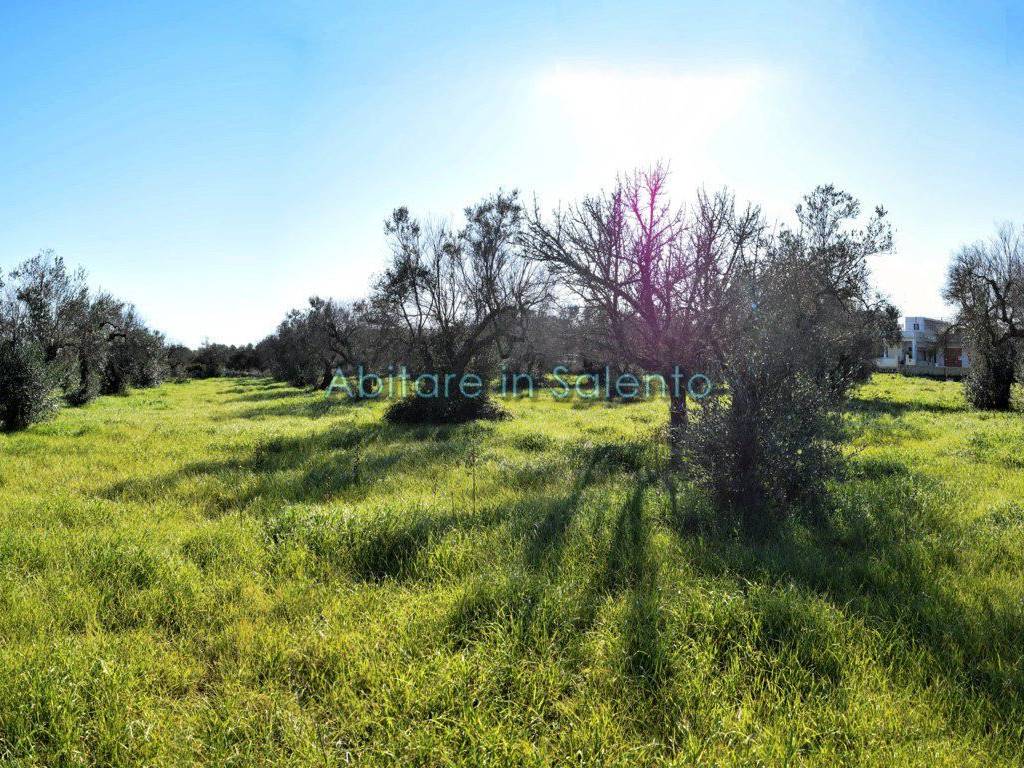 Terreno a Castrignano del capo in Via Egnazia - Foto 5