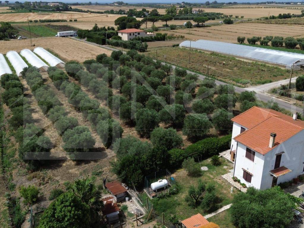 Rustico / casale a Capalbio - Foto 2