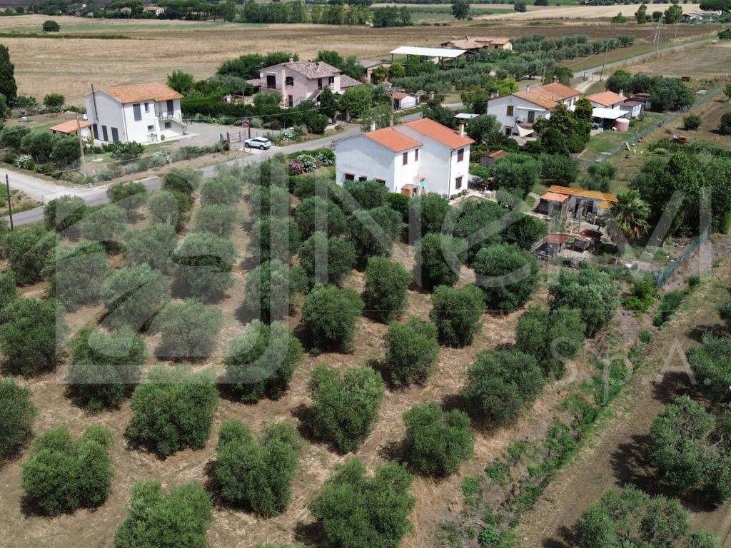 Rustico / casale a Capalbio - Foto 4