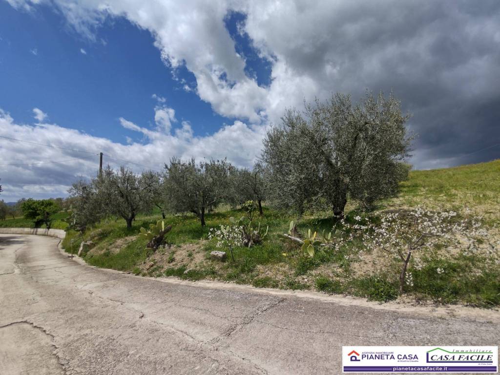 Terreno a Matera in Contrada Scatolino - Foto 2