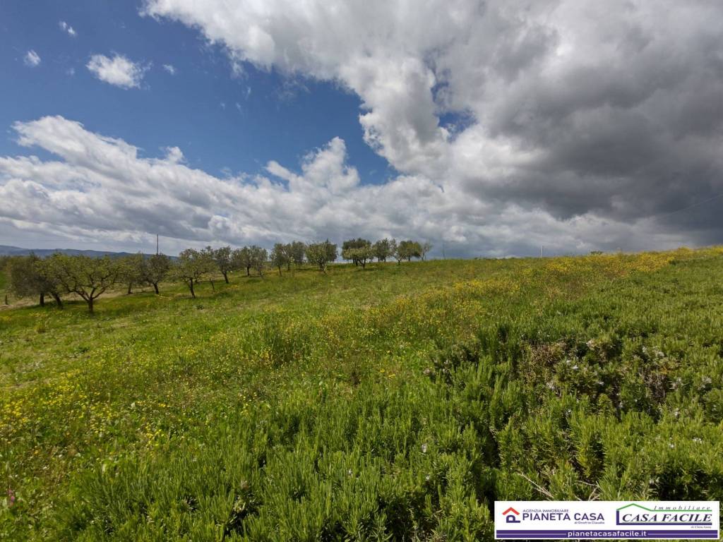 Terreno a Matera in Contrada Scatolino - Foto 3