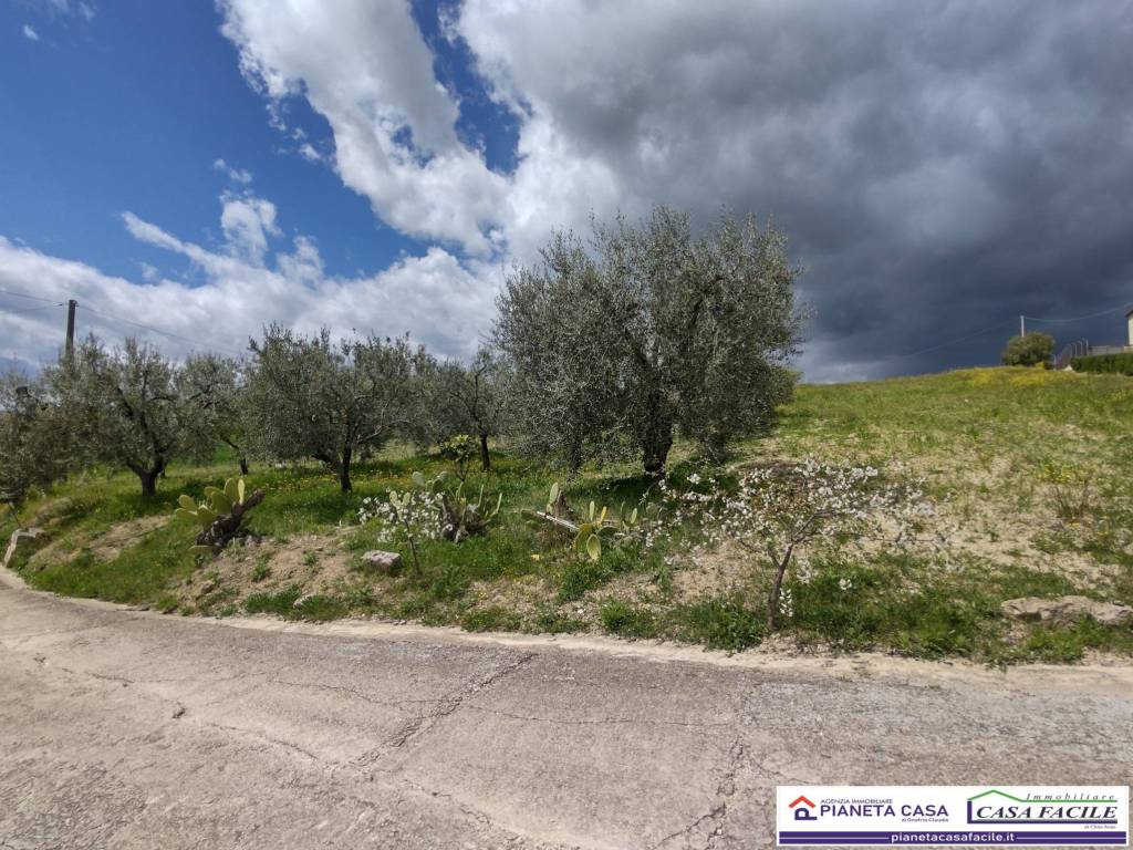 Terreno a Matera in Contrada Scatolino - Foto 4