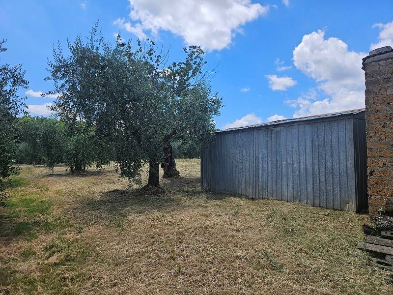 Terreno a Giove in Strada della Luna Piena - Foto 2