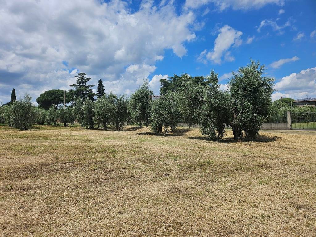 Terreno a Giove in Strada della Luna Piena - Foto 5