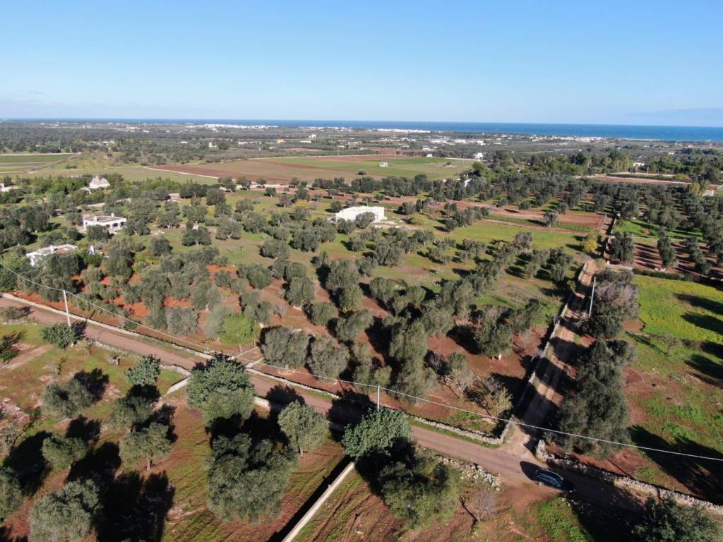 Terreno a Carovigno in Contrada Caselli Morggicchio, 4 - Foto 3