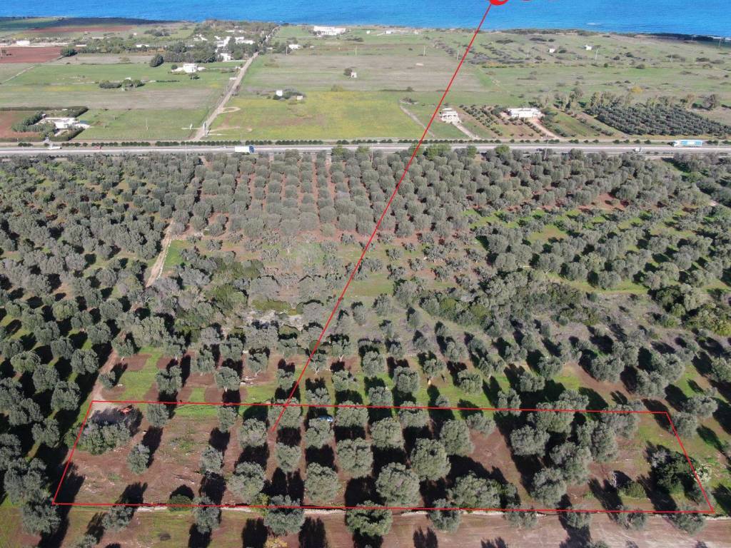 Terreno a Carovigno in Contrada Bufalaria - Foto 2