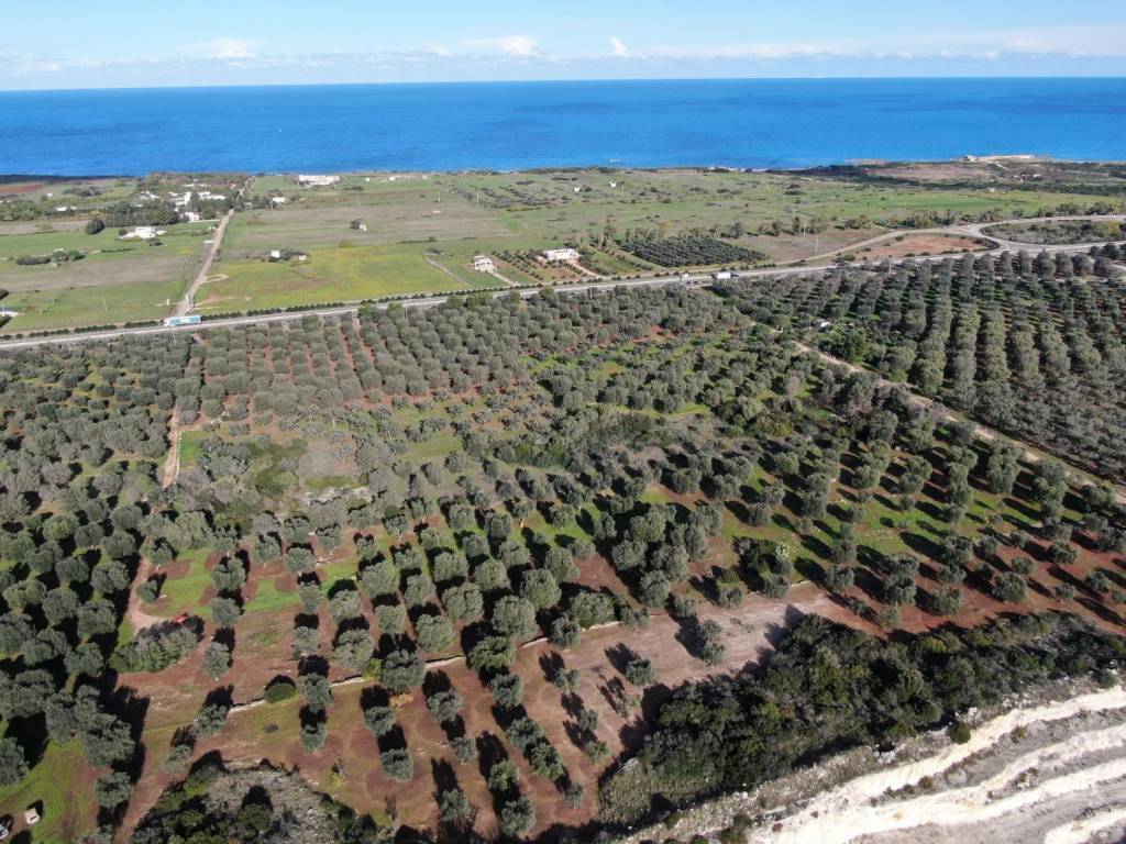 Terreno a Carovigno in Contrada Bufalaria - Foto 4