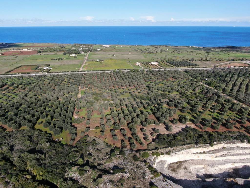 Terreno a Carovigno in Contrada Bufalaria - Foto 5