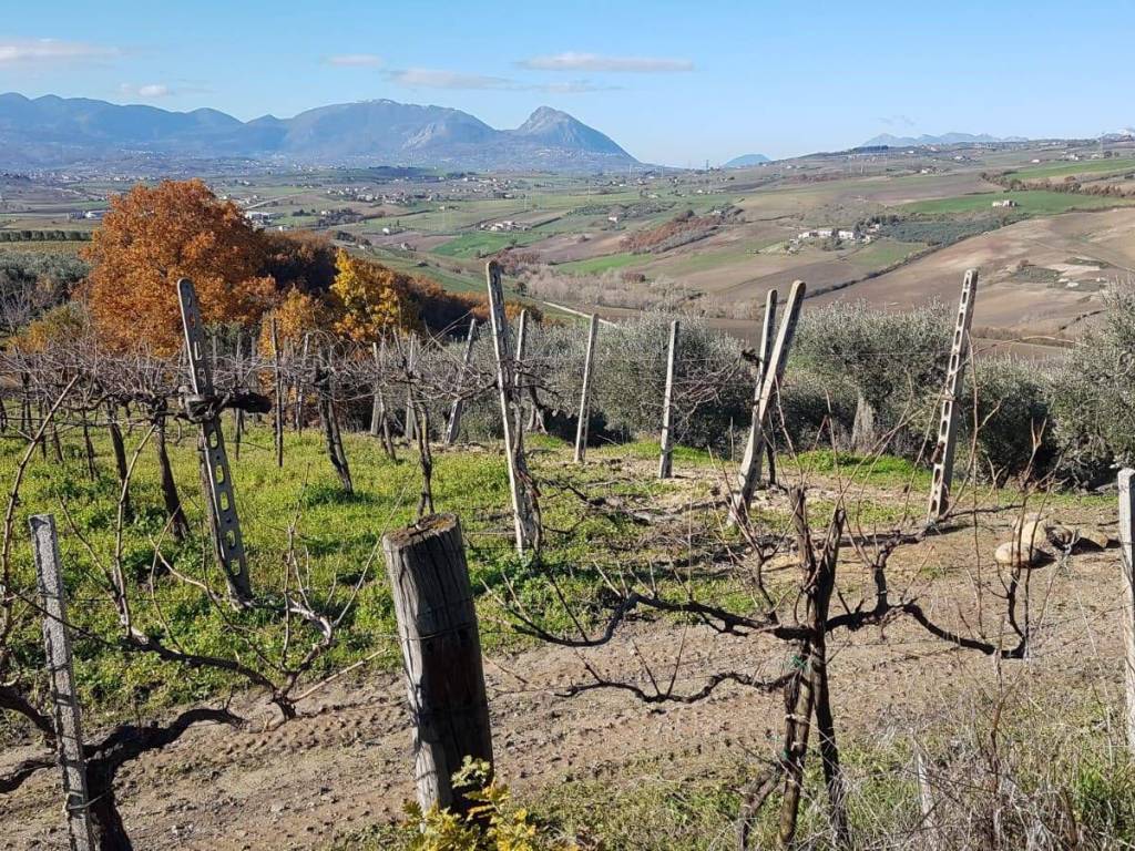 Terreno a Benevento in Contrada Ponte Valentino - Foto 2