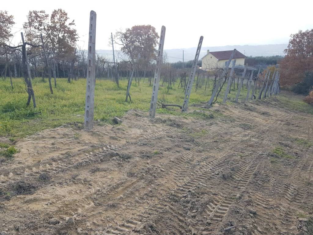 Terreno a Benevento in Contrada Ponte Valentino - Foto 3