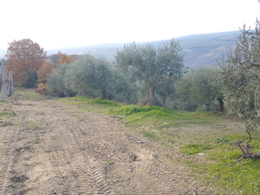 Terreno a Benevento in Contrada Ponte Valentino - Foto 4