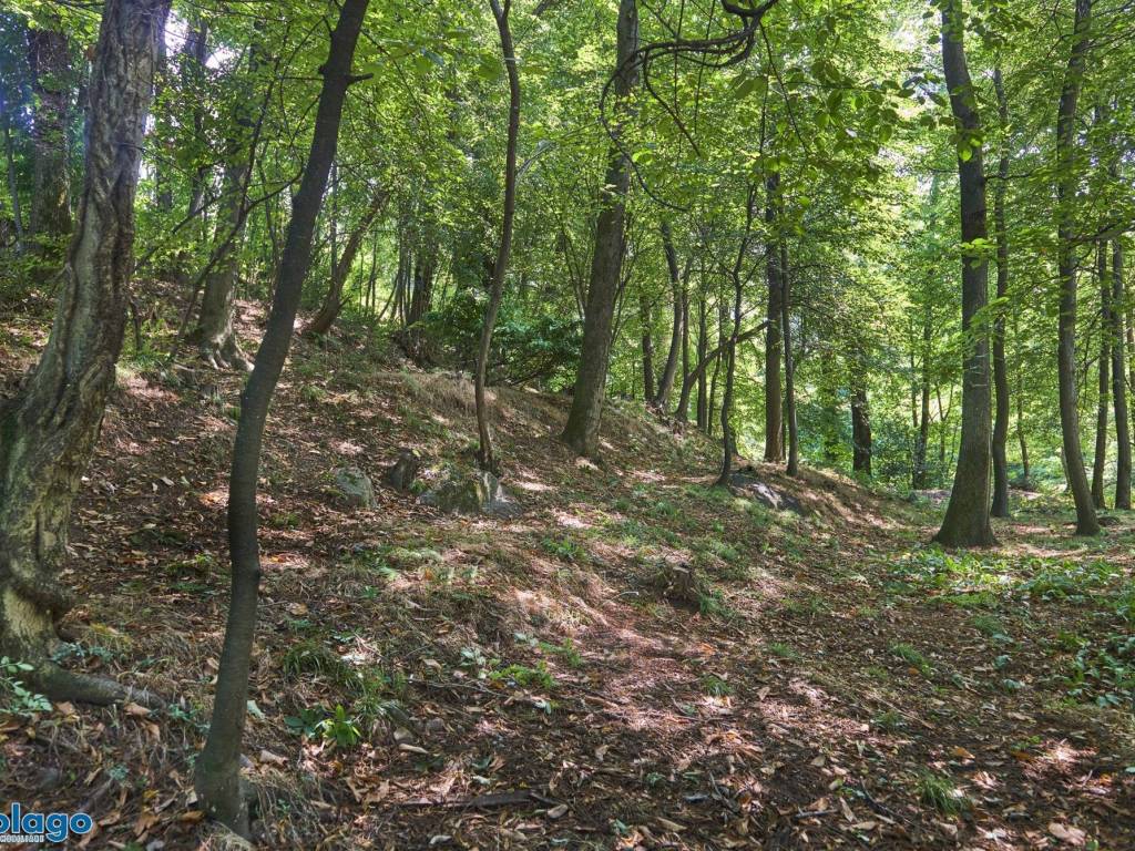 Terreno a Galbiate in Bartesate - Foto 4