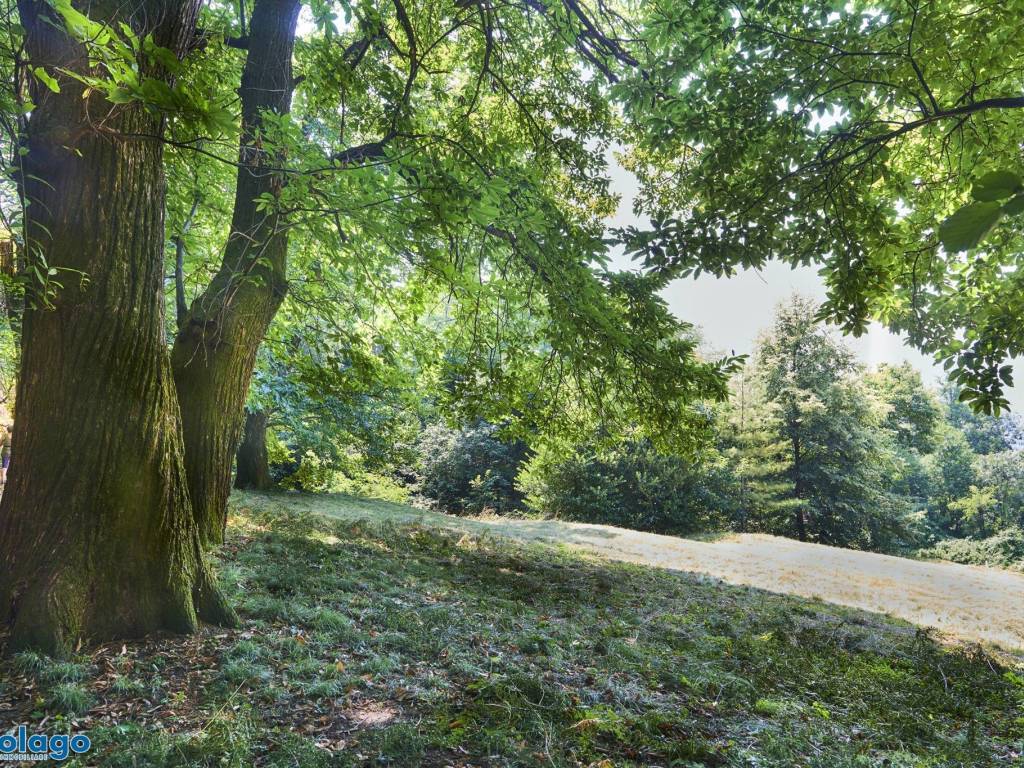 Terreno a Galbiate in Bartesate - Foto 5