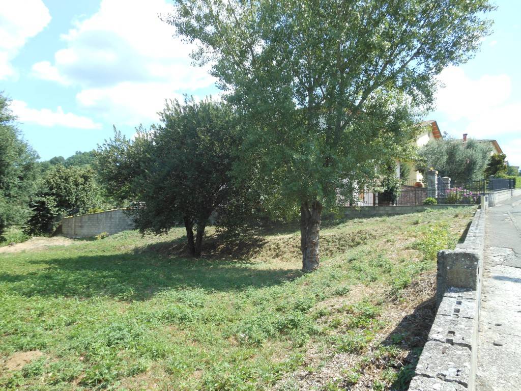 Terreno a Bibbiena in Via Castellare - Foto 3