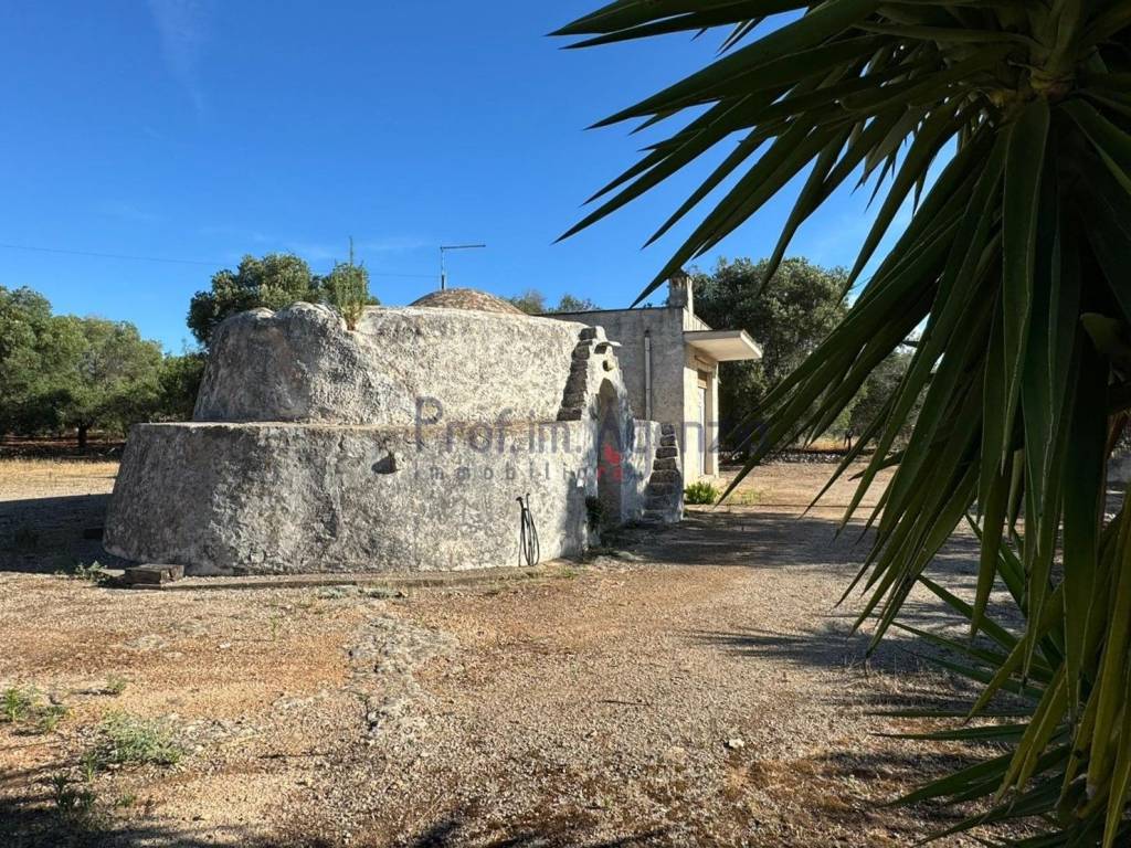 Rustico / casale a Ostuni - Foto 2