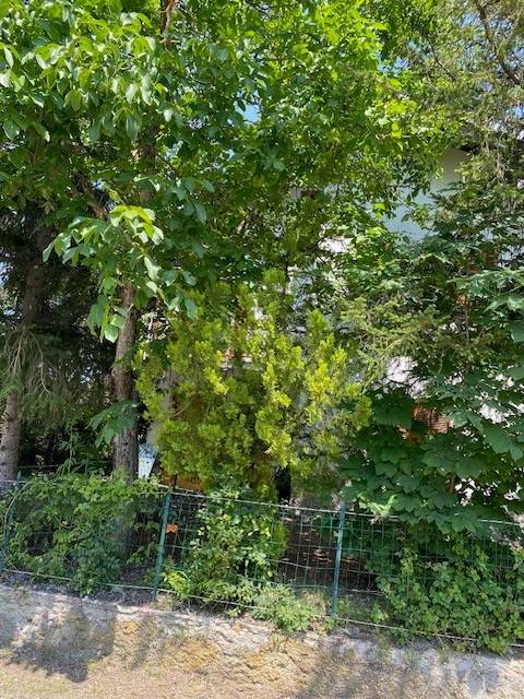 Appartamento a Cantalupo ligure in Località Pessinate - Foto 2