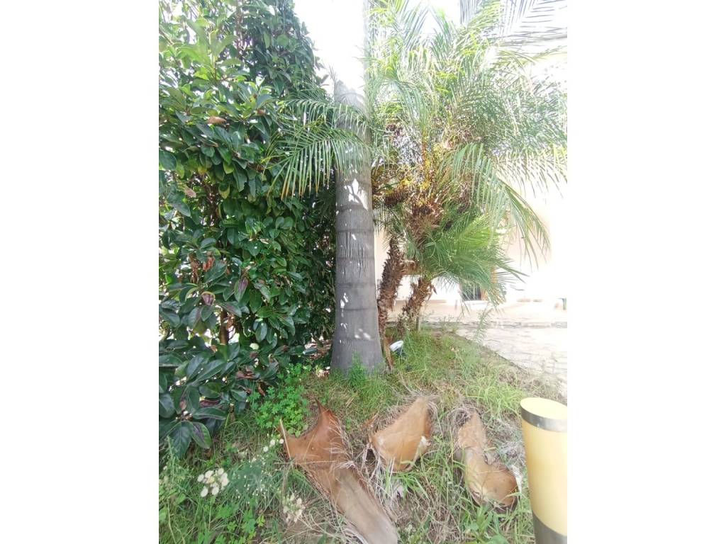 Villa a Campofelice di roccella in Contrada Pistavecchia - Foto 2