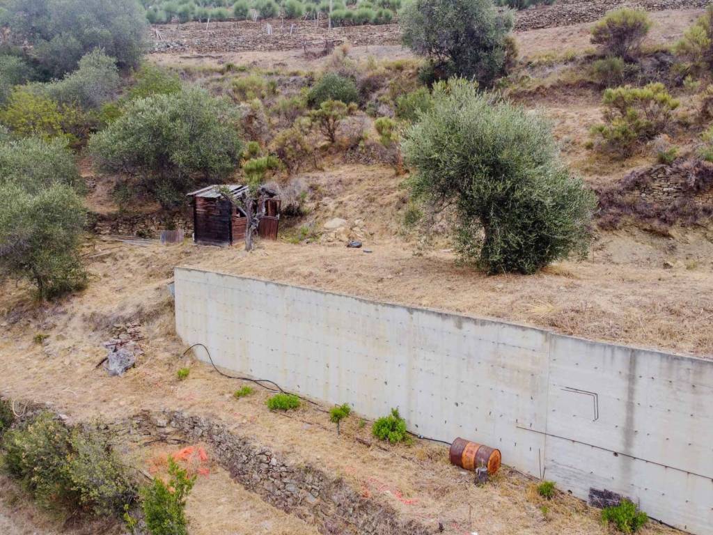 Terreno a San biagio della cima - Foto 2