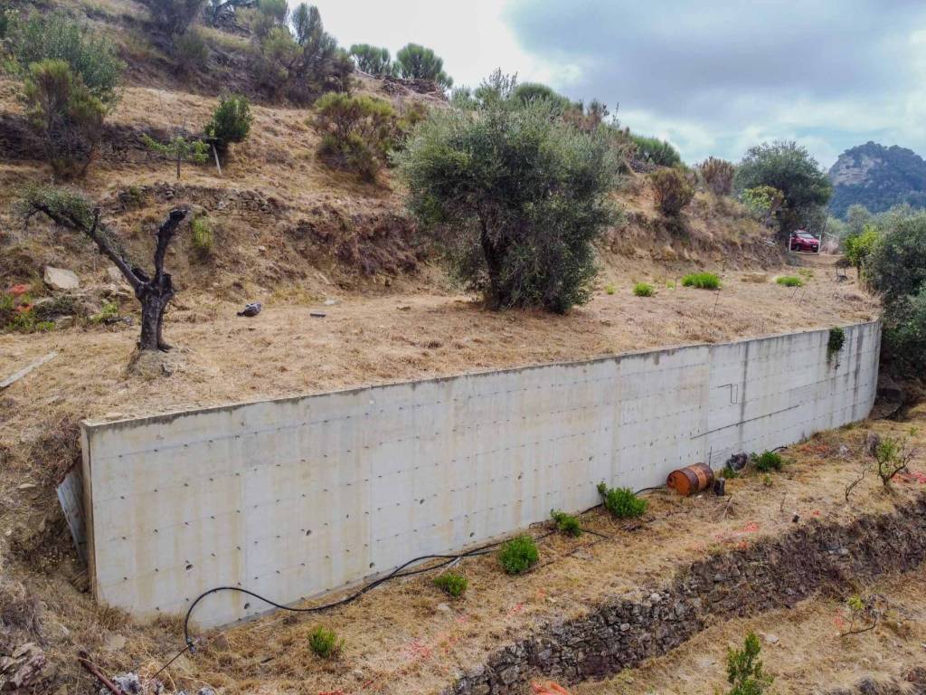Terreno a San biagio della cima - Foto 3