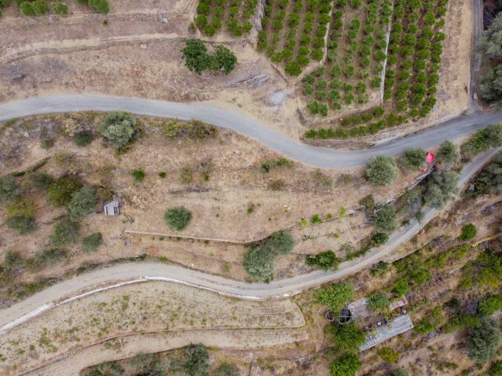 Terreno a San biagio della cima - Foto 5