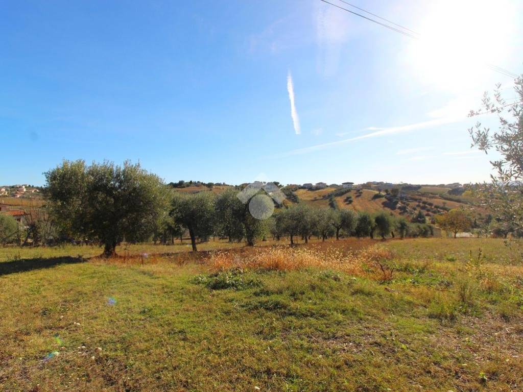 Terreno a Ancarano in Terreno Edificabile Via Pastine - Foto 2