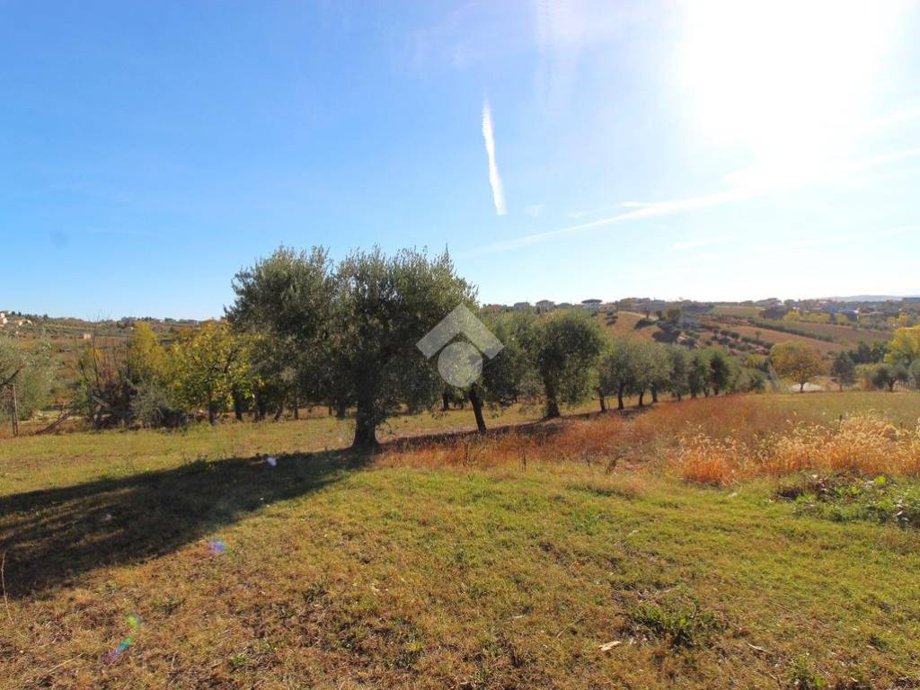 Terreno a Ancarano in Terreno Edificabile Via Pastine - Foto 4