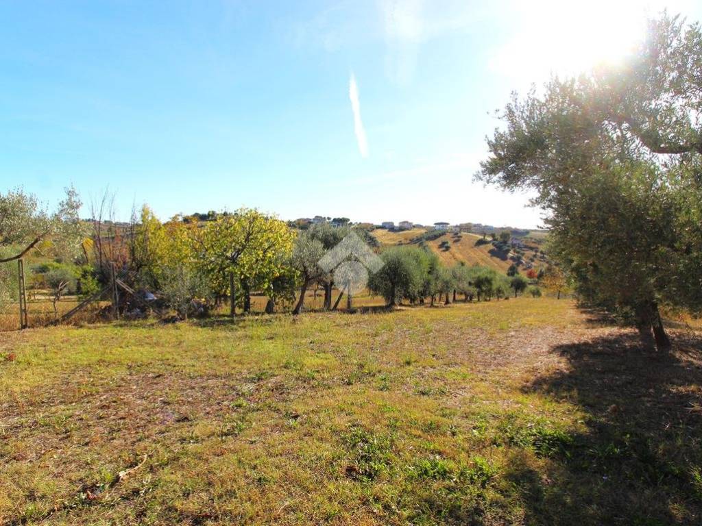 Terreno a Ancarano in Terreno Edificabile Via Pastine - Foto 5