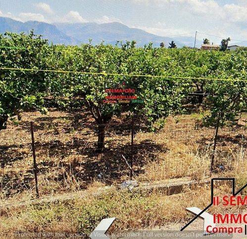 Terreno a Partinico - Foto 2