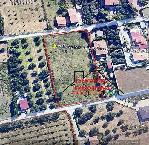 Terreno a Partinico - Foto 3