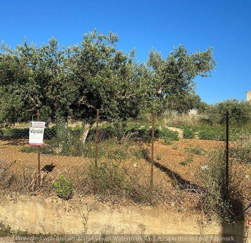 Terreno a Partinico - Foto 2