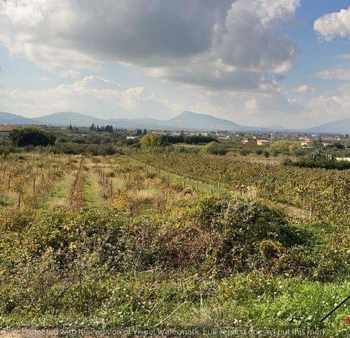 Terreno a Partinico - Foto 2