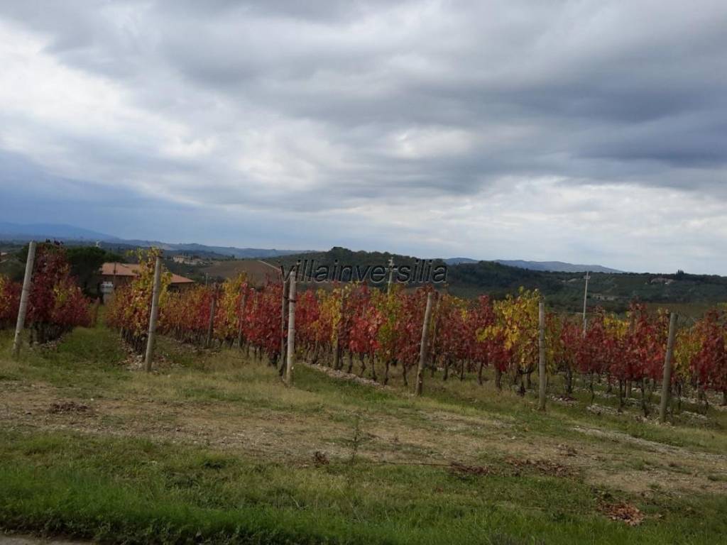Terreno a Castelnuovo berardenga - Foto 2