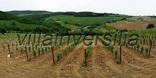 Terreno a Castelnuovo berardenga - Foto 3