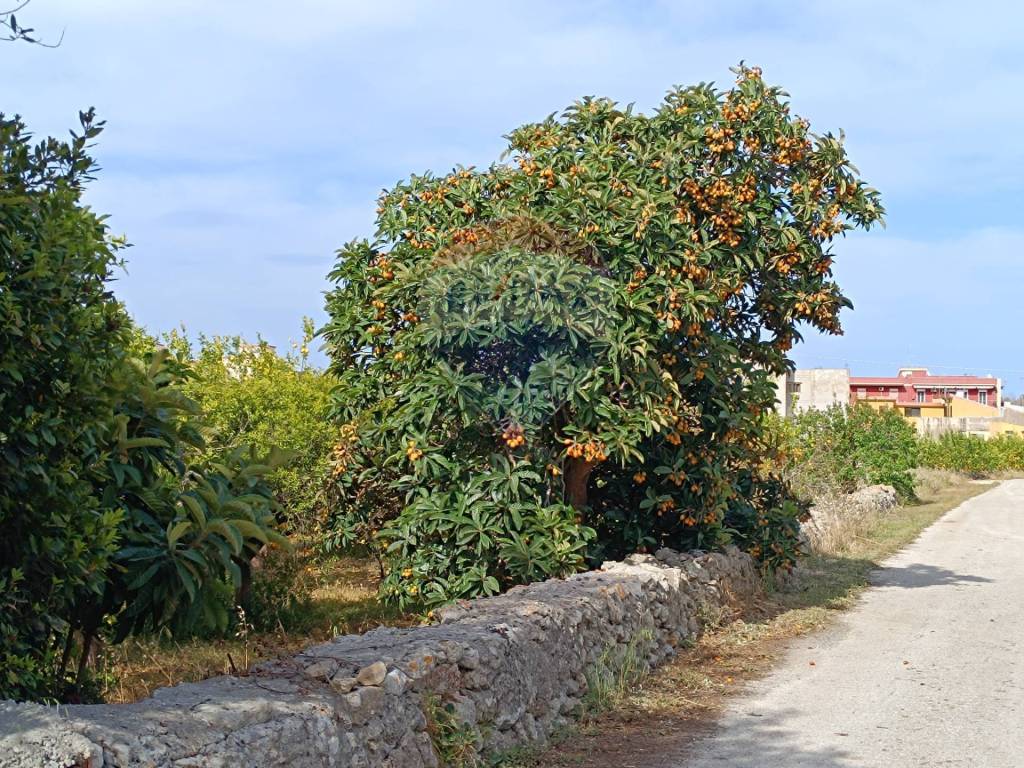 Terreno a Priolo gargallo in Via Salso - Foto 2