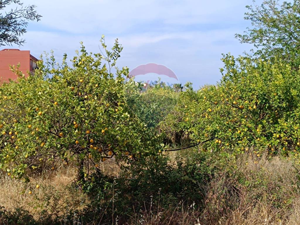 Terreno a Priolo gargallo in Via Salso - Foto 3