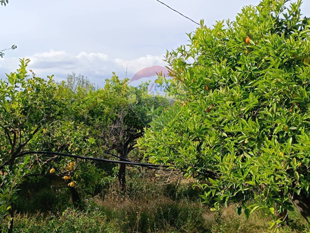 Terreno a Priolo gargallo in Via Salso - Foto 4