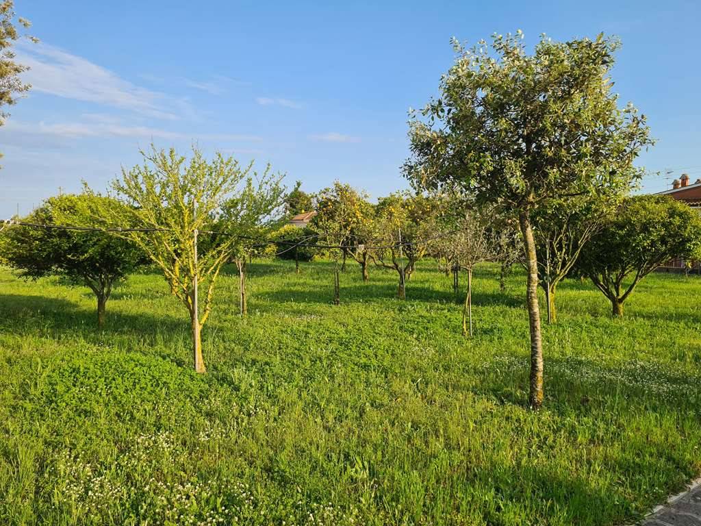 Villa a San felice circeo in Viale Regina Elena - Foto 5