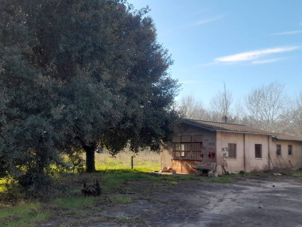 Rustico / casale a Deruta in Via del Mosaico - Foto 3