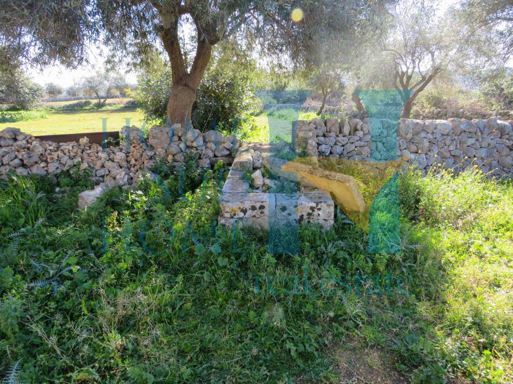 Rustico / casale a Noto in Via Tommaso Fazello, 228 - Foto 5
