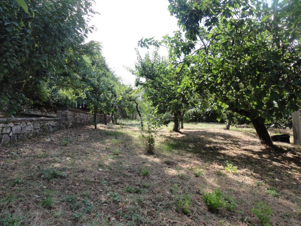Villetta a schiera a Ceccano in Viale della Libertà - Foto 4